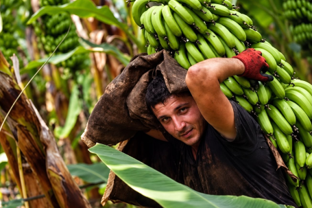 agrodiversidad y la soberania alimentaria