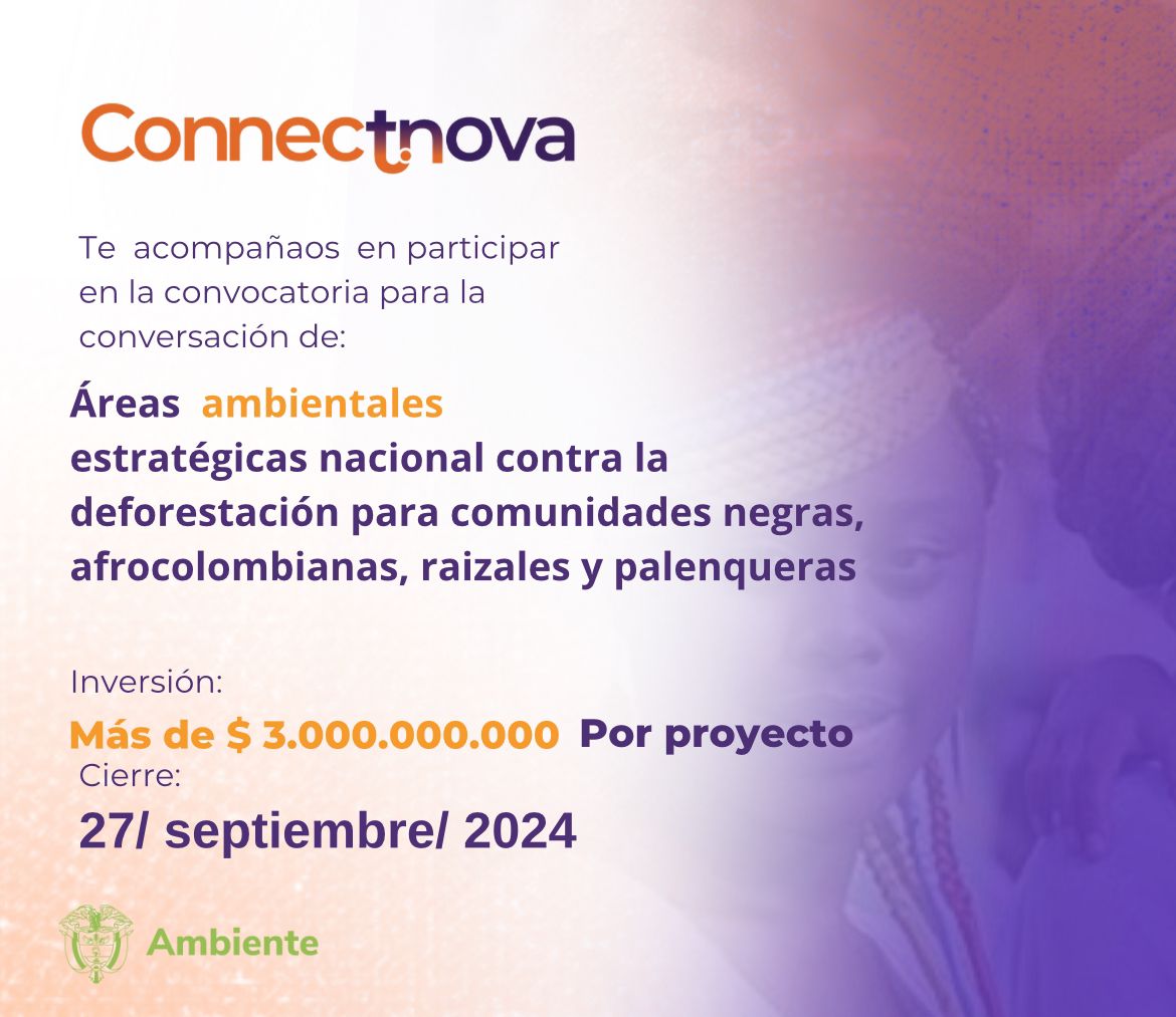 WhatsApp Image 2024-07-30 at 18.13.47