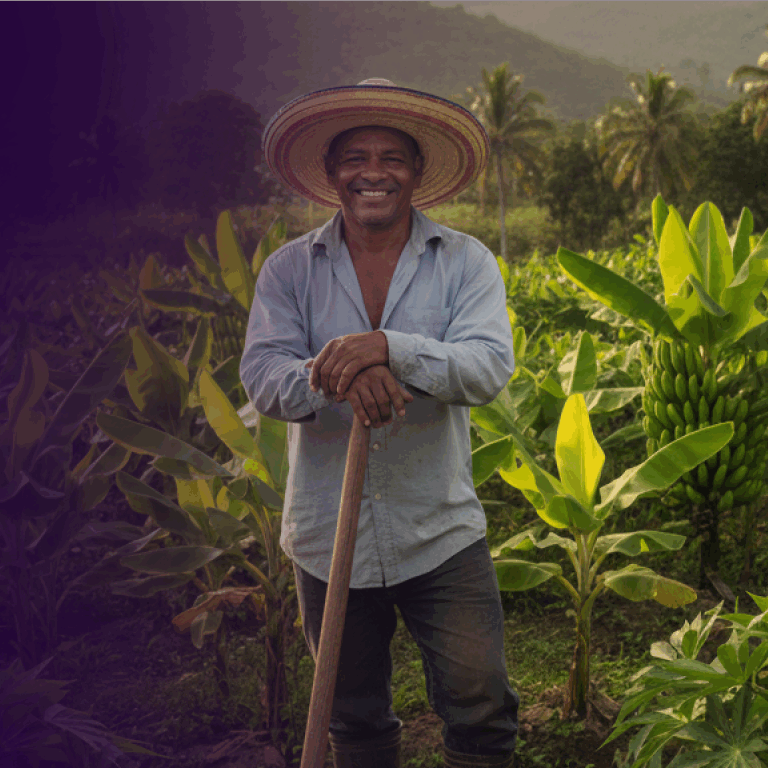 Impacto Social sin texto