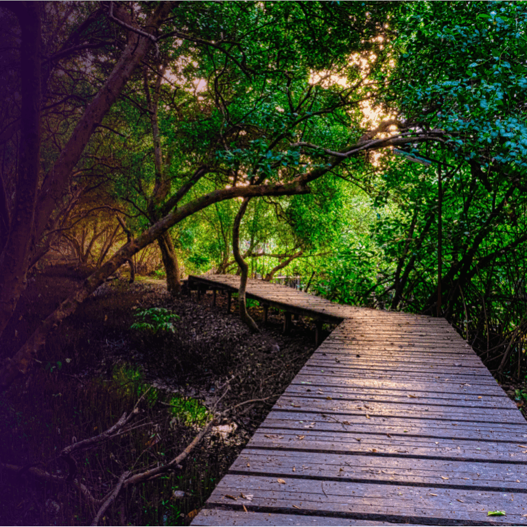 Impacto ambiental sin texto